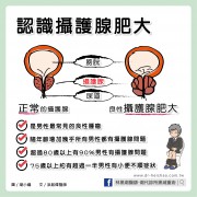 認識攝護腺肥大/文：洪啟偉醫師