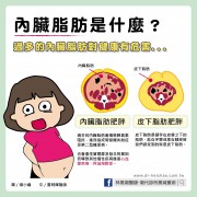 「內臟脂肪」是什麼？過高要注意！／文：夏明輝醫師