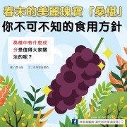 春末的美麗瑰寶「桑椹」，你不可不知的食用方針／文：吳秉恩營養師