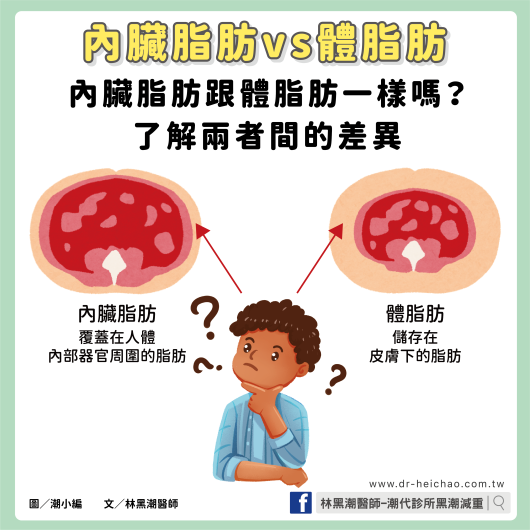 內臟脂肪vs體脂肪：內臟脂肪跟體脂肪一樣嗎？了解兩者間的差異 / 文：林黑潮醫師