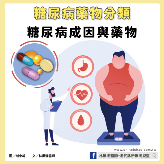 糖尿病藥物分類：糖尿病成因與藥物 ／文：林黑潮醫師