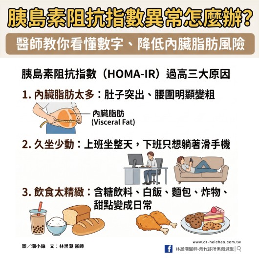 胰島素阻抗指數異常怎麼辦？醫師教你看懂數字、降低內臟脂肪風險／文：林黑潮醫師