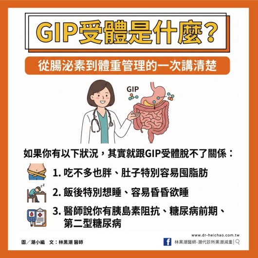 GIP受體是什麼？從腸泌素到體重管理的一次講清楚 ／文：林黑潮醫師