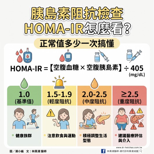 胰島素阻抗檢查 HOMA-IR怎麼看? 正常值多少一次搞懂／文：林黑潮醫師