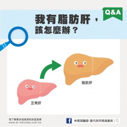 做了檢查，醫生說我有「脂肪肝」，為什麼會這樣？怎麼辦呢？                                                                                                                          